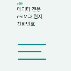 데이터 전용 eSIM과 현지 전화번호 — 데이터 전용·통화·SMS 포함·한국 번호 유지의 선택 조건 비교