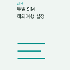 듀얼 SIM 해외여행 설정 — 모바일 데이터·기본 음성·회선별 로밍의 선택 조건 비교