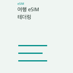 여행 eSIM 테더링 — 한 전화로 공유·두 사람이 별도 이동·노트북 연결의 선택 조건 비교