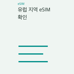 유럽 지역 eSIM 확인 — 방문 국가·환승·출국 국가·공유 데이터·음성 통화·업무·노트북의 선택 조건 비교