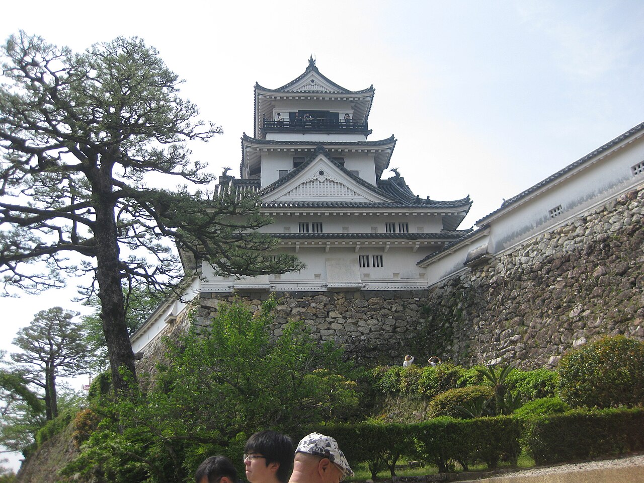 White Kochi Castle keep and tiled roof behind a stone wall and pine tree
