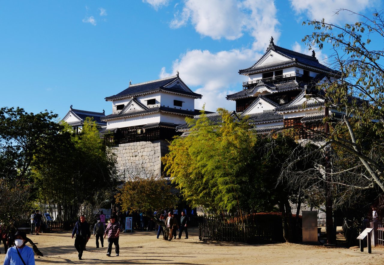 White walls, dark timber and tiled roofs of Matsuyama Castle’s keep above stone walls in Ehime